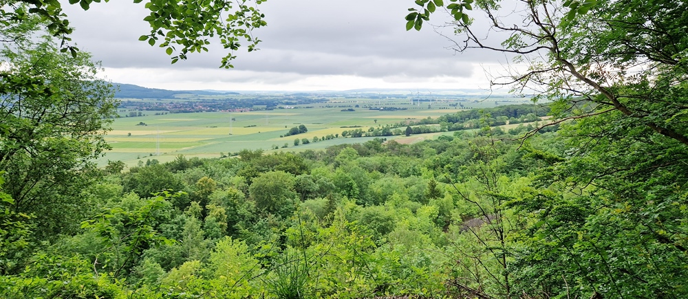 Waldwoche